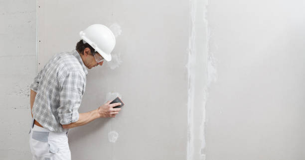 Best Mold Remediation for Healthcare Facilities  in Sarasota Springs, FL