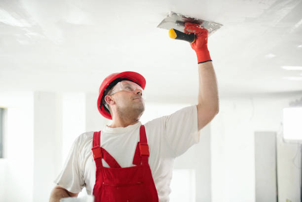 Best Water Damage & Mold Remediation  in Sarasota Springs, FL