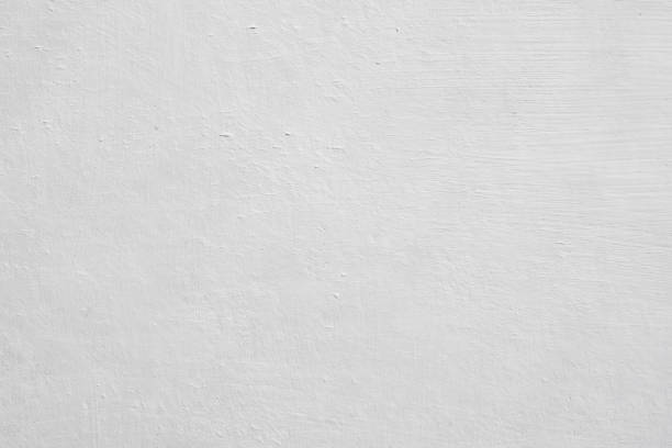 Best Emergency Mold Remediation  in Sarasota Springs, FL